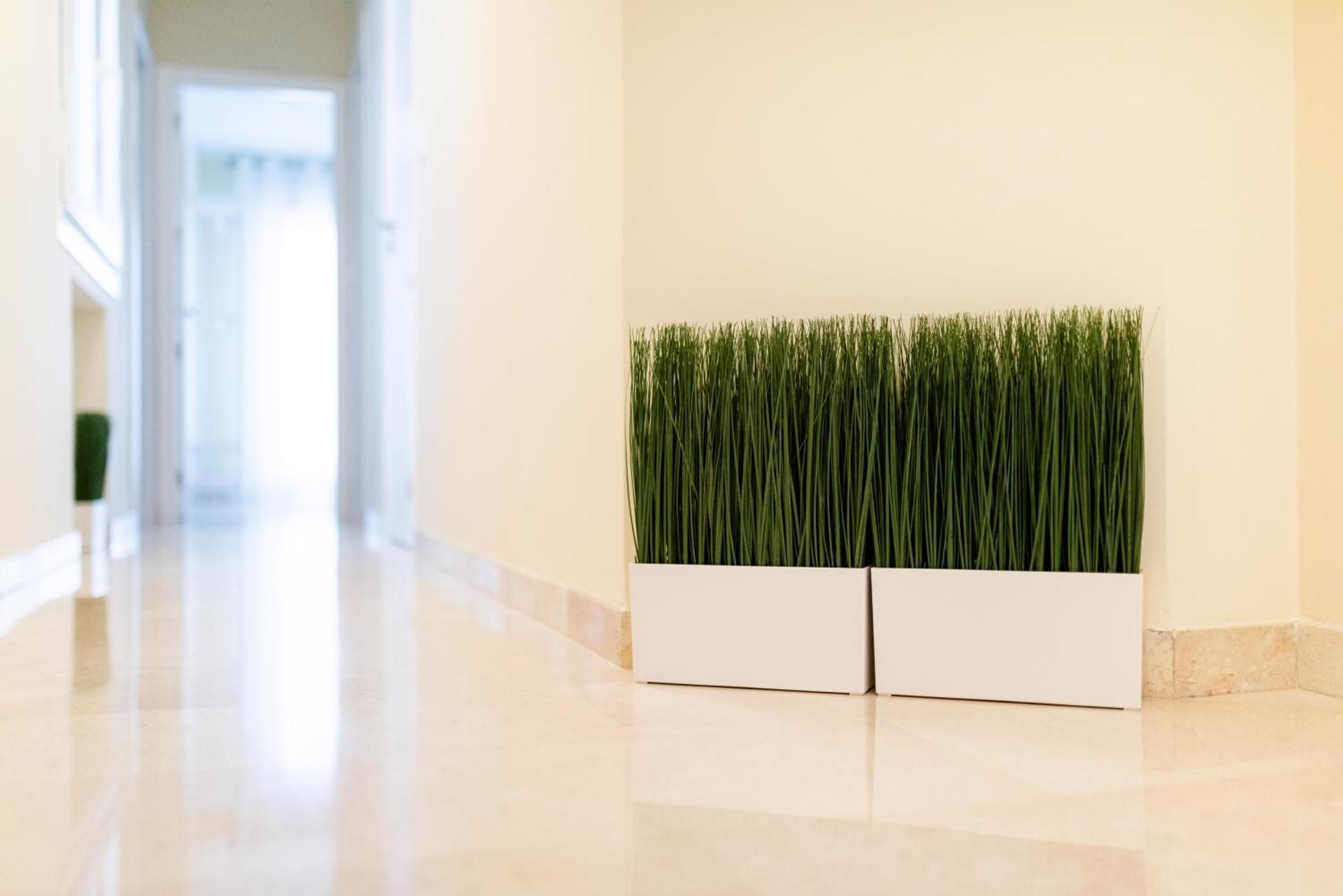 Centrico Apartamento Granada Exteriör bild